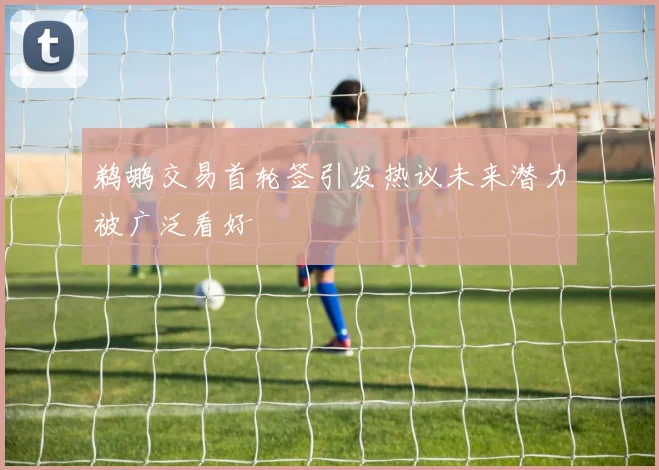 鹈鹕交易首轮签引发热议未来潜力被广泛看好