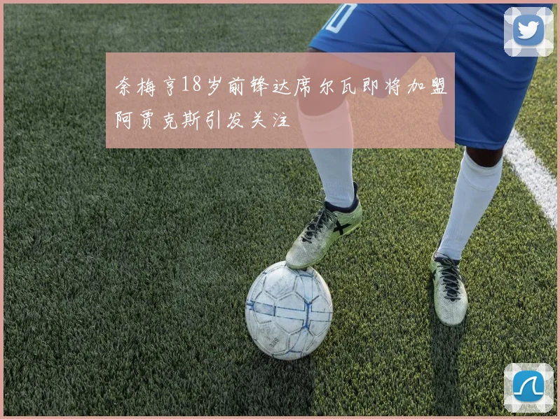 奈梅亨18岁前锋达席尔瓦即将加盟阿贾克斯引发关注