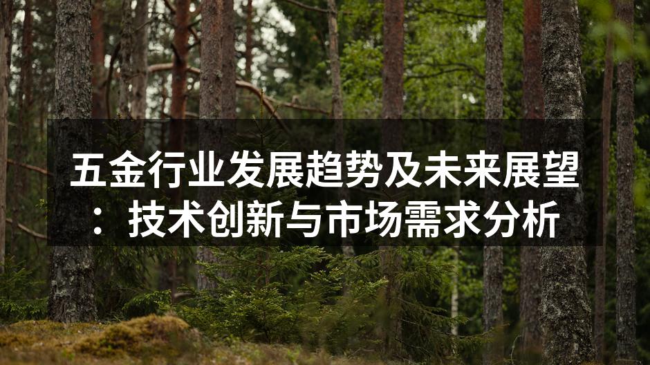 五金行业发展趋势及未来展望:技术创新与市场需求分析