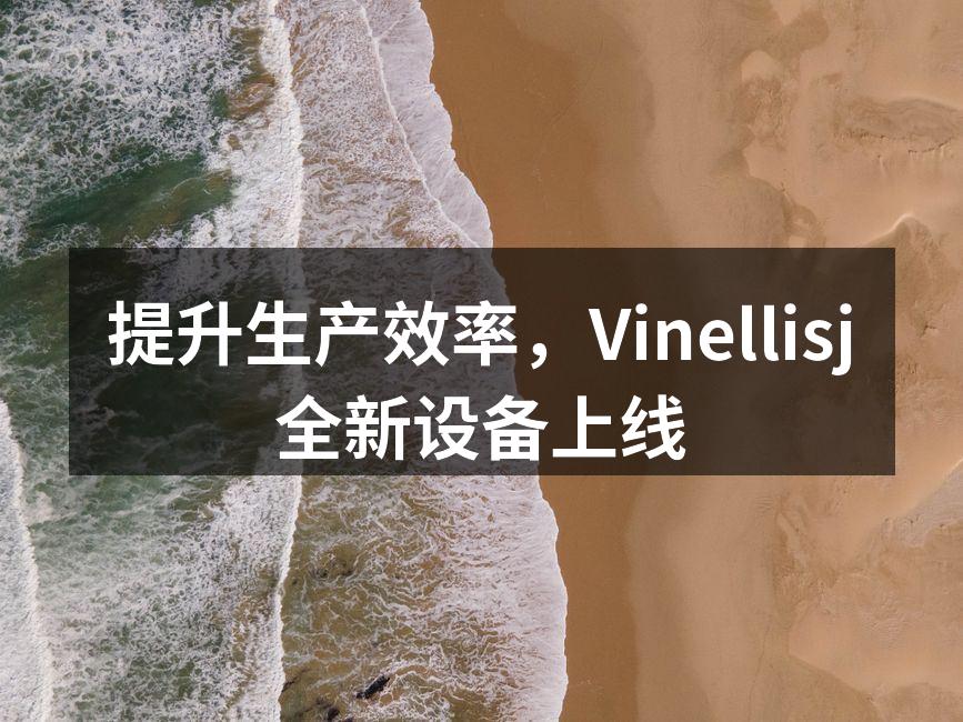 提升生产效率,Vinellisj全新设备上线